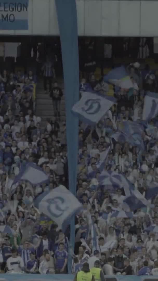 Fãs no estádio durante o jogo. Vídeo vertical — Vídeo de Stock