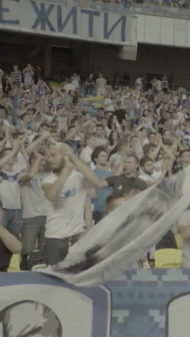 Fãs no estádio durante o jogo. Vídeo vertical — Vídeo de Stock