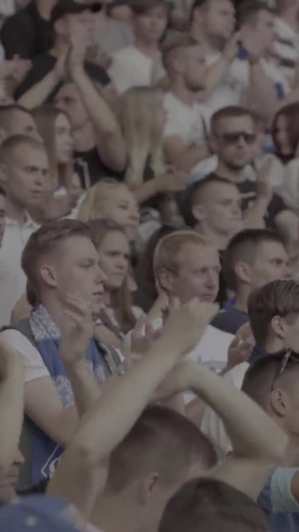 Fans in het stadion tijdens de wedstrijd. Verticale video — Stockvideo