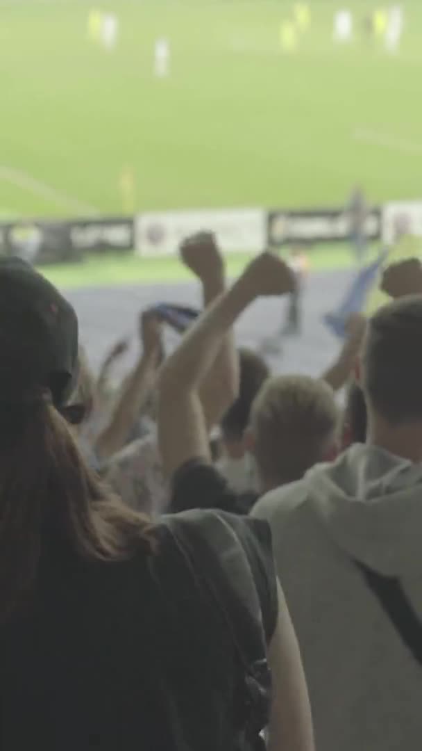 Ventilateurs dans le stade pendant le match. Vidéo verticale — Video