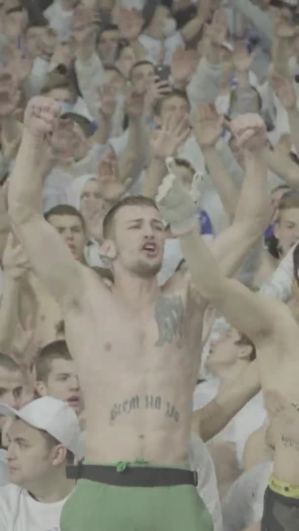 Ventilateurs dans le stade pendant le match. Vidéo verticale — Video