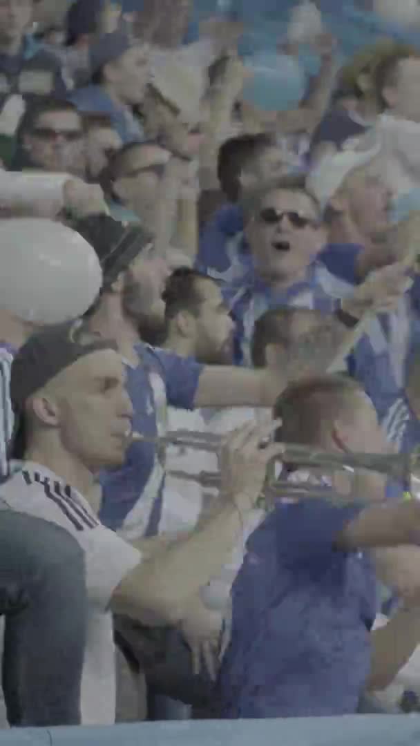 Fans in het stadion tijdens de wedstrijd. Verticale video — Stockvideo