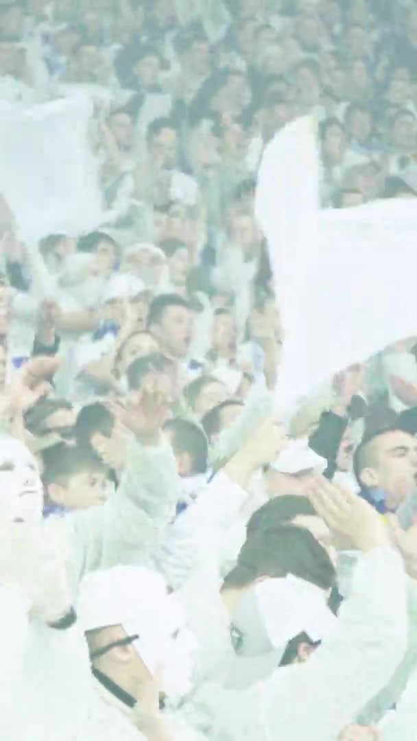 Ventilateurs dans le stade pendant le match. Vidéo verticale — Video