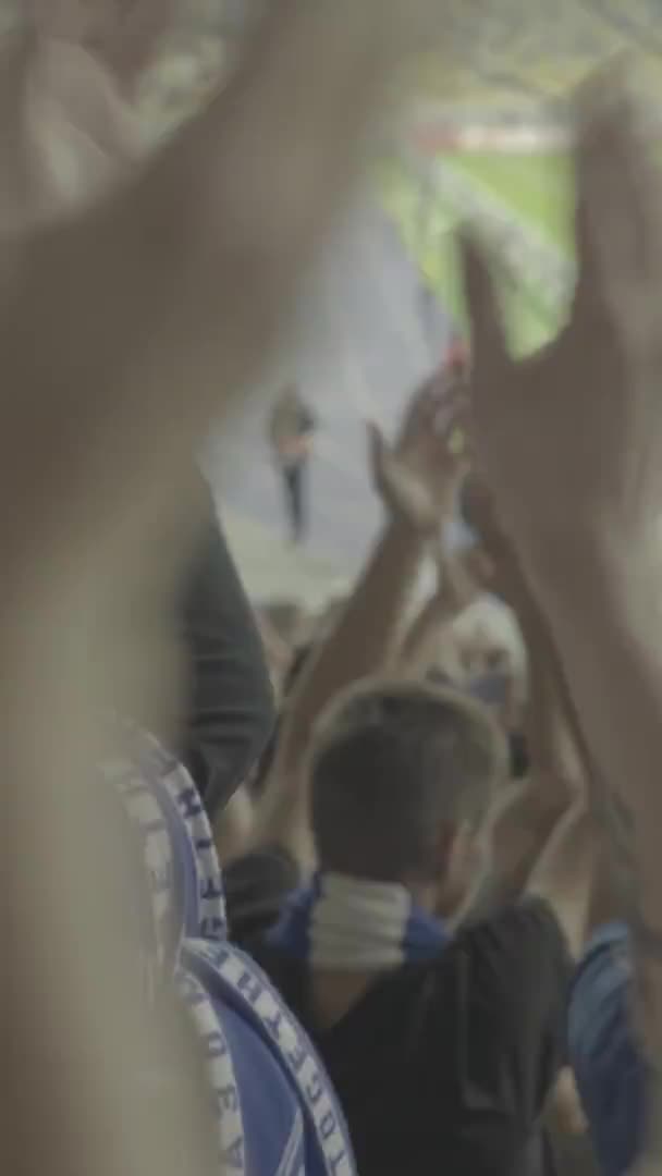 Aficionados en el estadio durante el partido. Vídeo vertical — Vídeo de stock