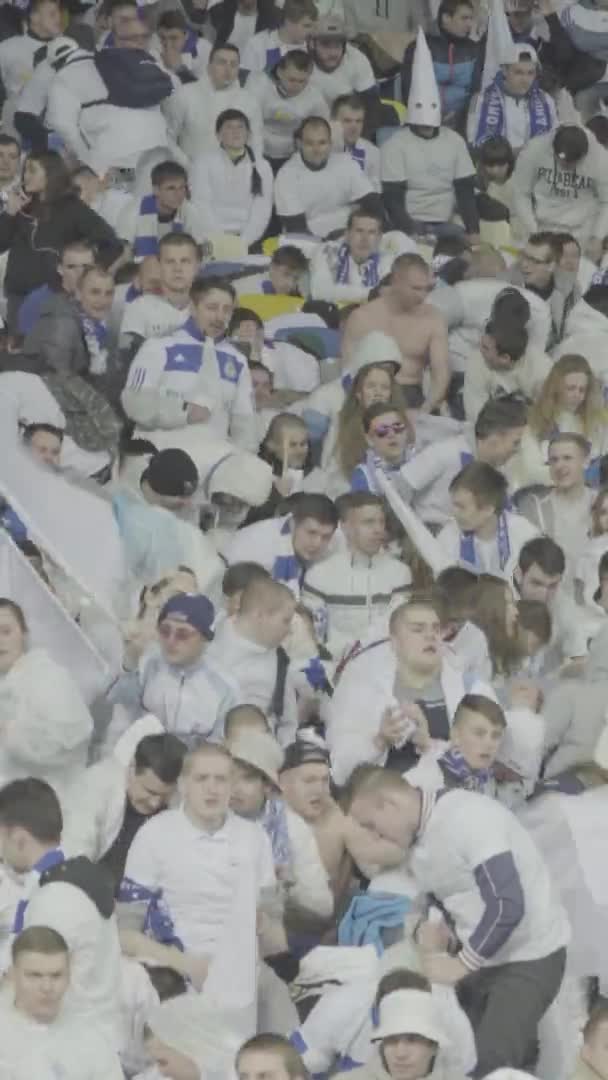 Fans in het stadion tijdens de wedstrijd. Verticale video — Stockvideo