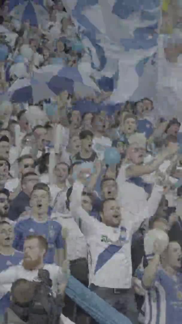 Aficionados en el estadio durante el partido. Vídeo vertical — Vídeos de Stock