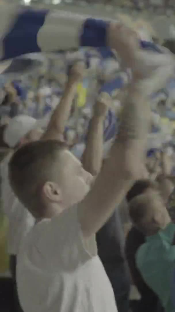 Fans während des Spiels im Stadion. Vertikales Video — Stockvideo