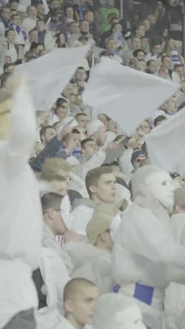 Ventilateurs dans le stade pendant le match. Vidéo verticale — Video