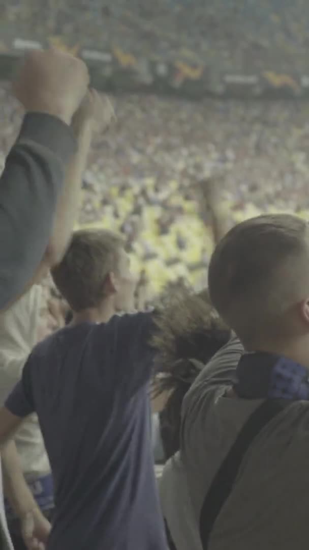 Fãs no estádio durante o jogo. Vídeo vertical — Vídeo de Stock