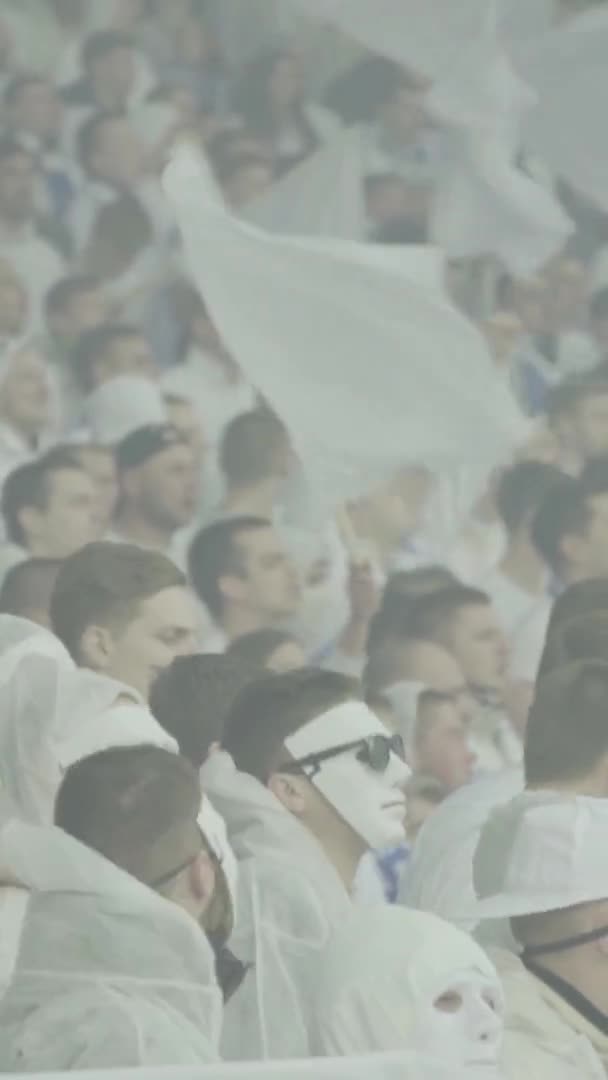 Fans während des Spiels im Stadion. Vertikales Video — Stockvideo