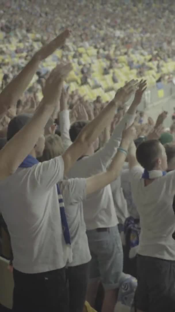 Ventilateurs dans le stade pendant le match. Vidéo verticale — Video