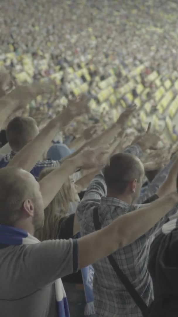 Ventilateurs dans le stade pendant le match. Vidéo verticale — Video