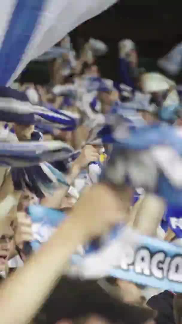 Fãs no estádio durante o jogo. Vídeo vertical — Vídeo de Stock