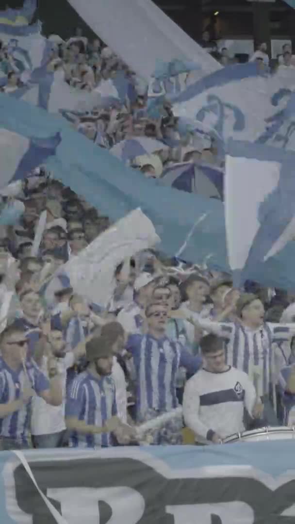 Fans in het stadion tijdens de wedstrijd. Verticale video — Stockvideo