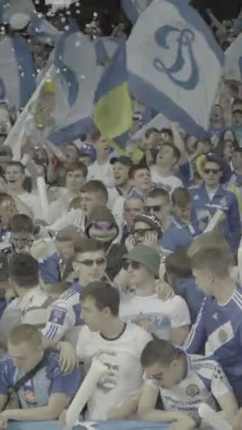 Aficionados en el estadio durante el partido. Vídeo vertical — Vídeo de stock