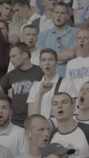 Aficionados en el estadio durante el partido. Vídeo vertical — Vídeos de Stock