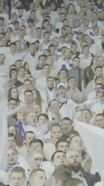 Ventilateurs dans le stade pendant le match. Vidéo verticale — Video