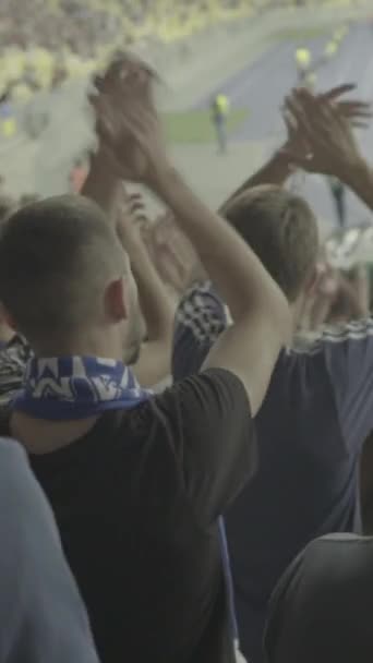 Rajongók a stadionban a meccs alatt. Függőleges videó — Stock videók