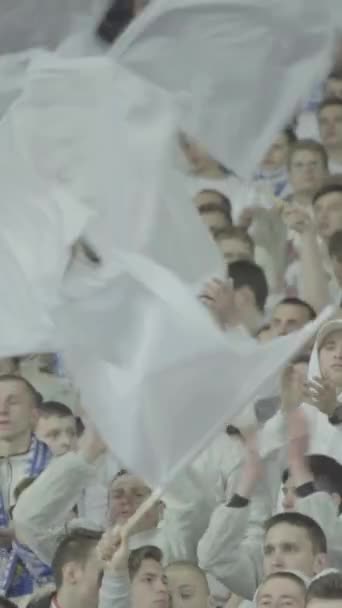 Fans in het stadion tijdens de wedstrijd. Verticale video — Stockvideo