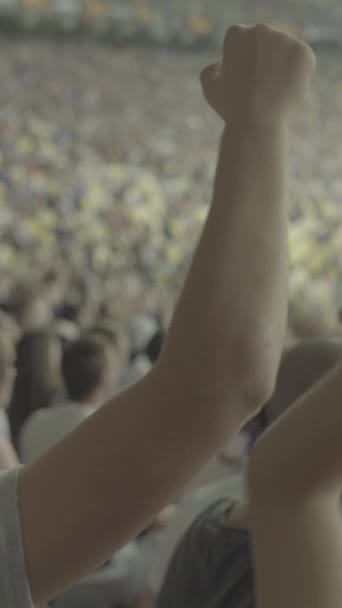 Aficionados en el estadio durante el partido. Vídeo vertical — Vídeo de stock