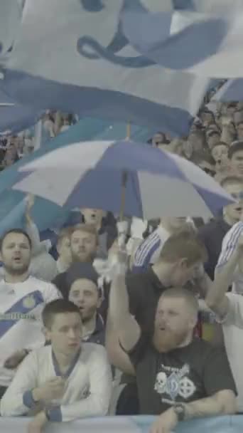 Aficionados en el estadio durante el partido. Vídeo vertical — Vídeo de stock