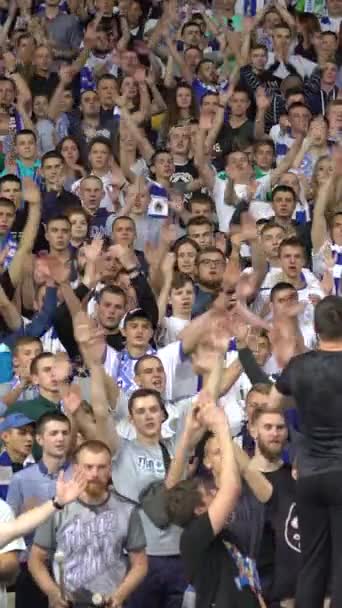 Ventilateurs dans le stade pendant le match. Vidéo verticale — Video