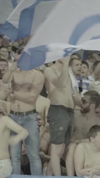 Fãs no estádio durante o jogo. Vídeo vertical — Vídeo de Stock