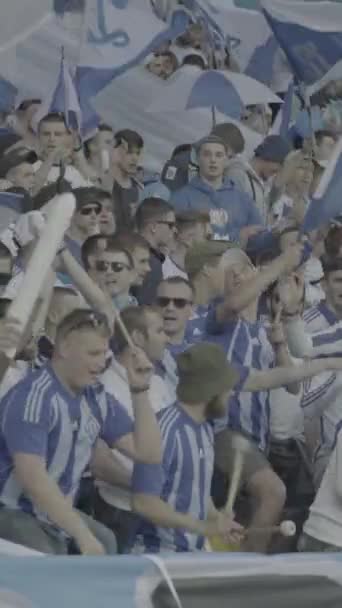 Aficionados en el estadio durante el partido. Vídeo vertical — Vídeos de Stock