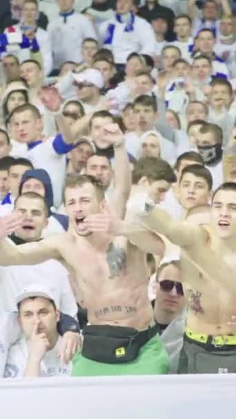 Fans in het stadion tijdens de wedstrijd. Verticale video — Stockvideo