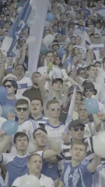 Fans in het stadion tijdens de wedstrijd. Verticale video — Stockvideo