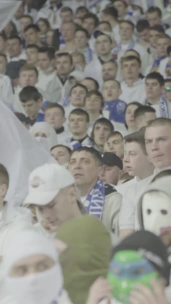 Aficionados en el estadio durante el partido. Vídeo vertical — Vídeo de stock