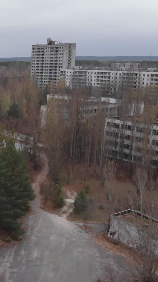 Uitsluitingszone Tsjernobyl. Pripyat. Verticale video — Stockvideo