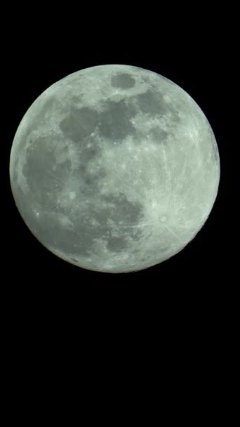 Gros plan sur la lune. Le satellite planétaire. Vidéo verticale — Video