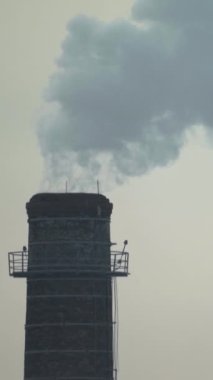 Duman bacadan geliyor. Dikey video