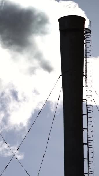 El humo viene de la chimenea. Vídeo vertical — Vídeos de Stock
