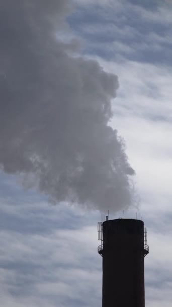 Rauch quillt aus dem Kamin. Vertikales Video — Stockvideo