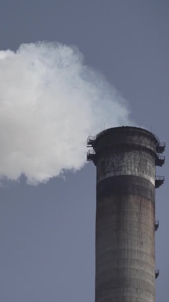 El humo viene de la chimenea. Vídeo vertical — Vídeo de stock