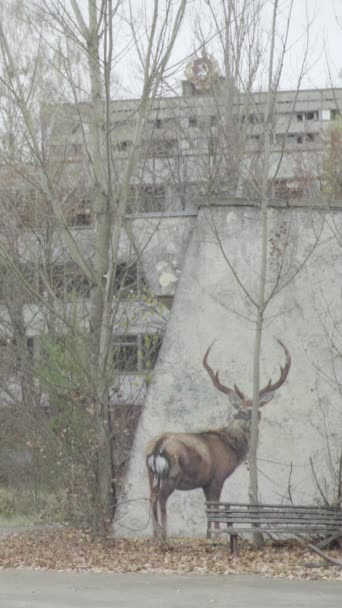 切尔诺贝利禁区。Pripyat 。垂直录像 — 图库视频影像