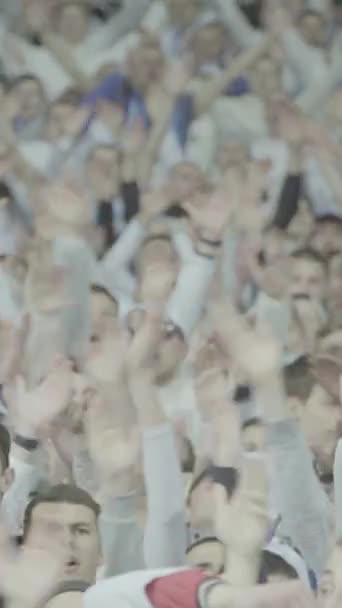 Fãs no estádio durante o jogo. Vídeo vertical — Vídeo de Stock