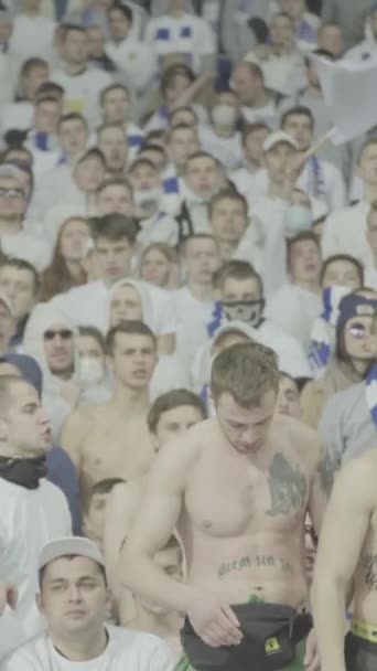 Fans während des Spiels im Stadion. Vertikales Video — Stockvideo