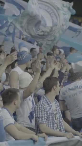 Fãs no estádio durante o jogo. Vídeo vertical — Vídeo de Stock