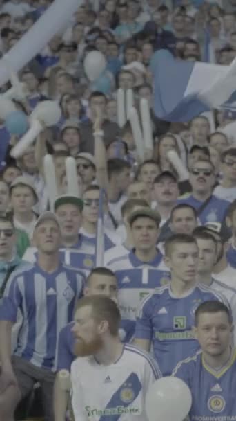 Ventilateurs dans le stade pendant le match. Vidéo verticale — Video