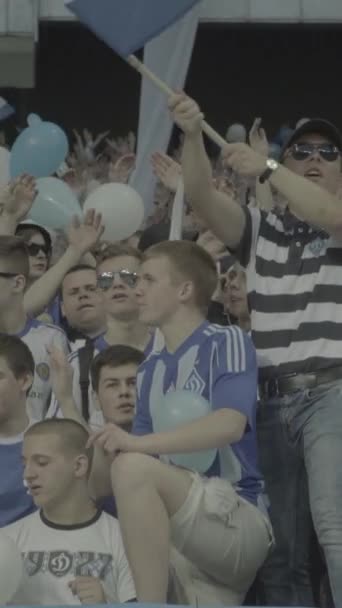 Ventilateurs dans le stade pendant le match. Vidéo verticale — Video