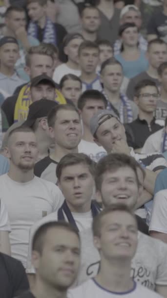 Fãs no estádio durante o jogo. Vídeo vertical — Vídeo de Stock