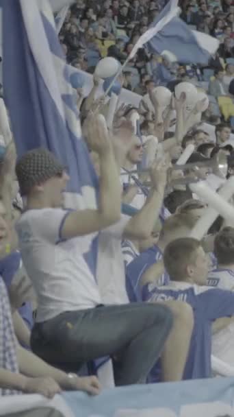 Ventilateurs dans le stade pendant le match. Vidéo verticale — Video