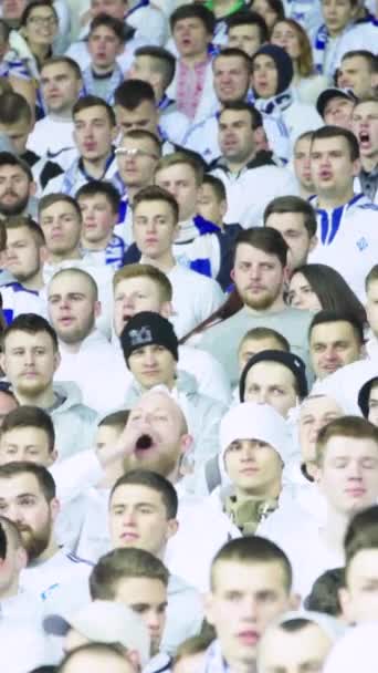 Fãs no estádio durante o jogo. Vídeo vertical — Vídeo de Stock