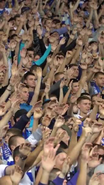 Ventilateurs dans le stade pendant le match. Vidéo verticale — Video