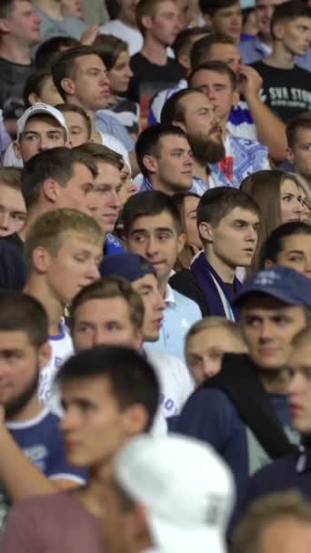 Ventilateurs dans le stade pendant le match. Vidéo verticale — Video