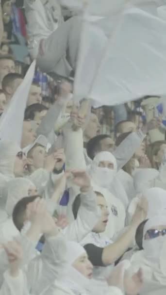 Ventilateurs dans le stade pendant le match. Vidéo verticale — Video