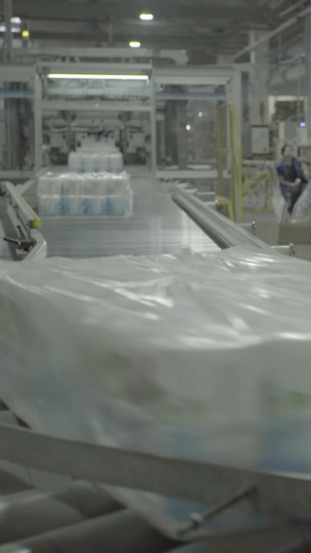 Transporteur in een papierfabriek. Technologie. Verticale video — Stockvideo
